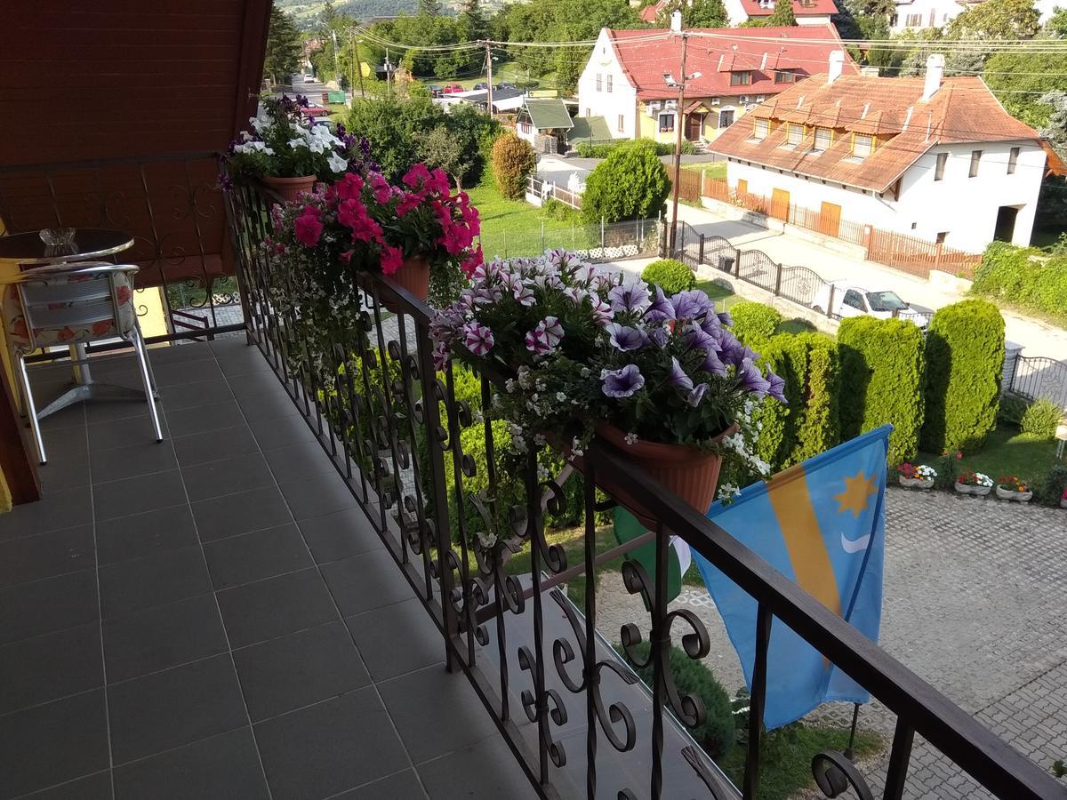 Anna Ilona Vendeghaz Hotel Badacsonytomaj Buitenkant foto
