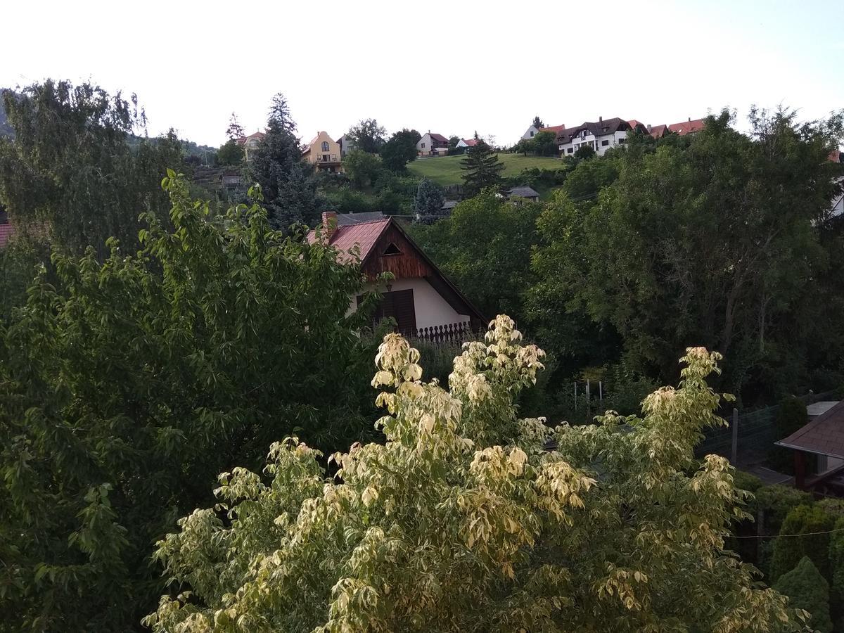 Anna Ilona Vendeghaz Hotel Badacsonytomaj Buitenkant foto