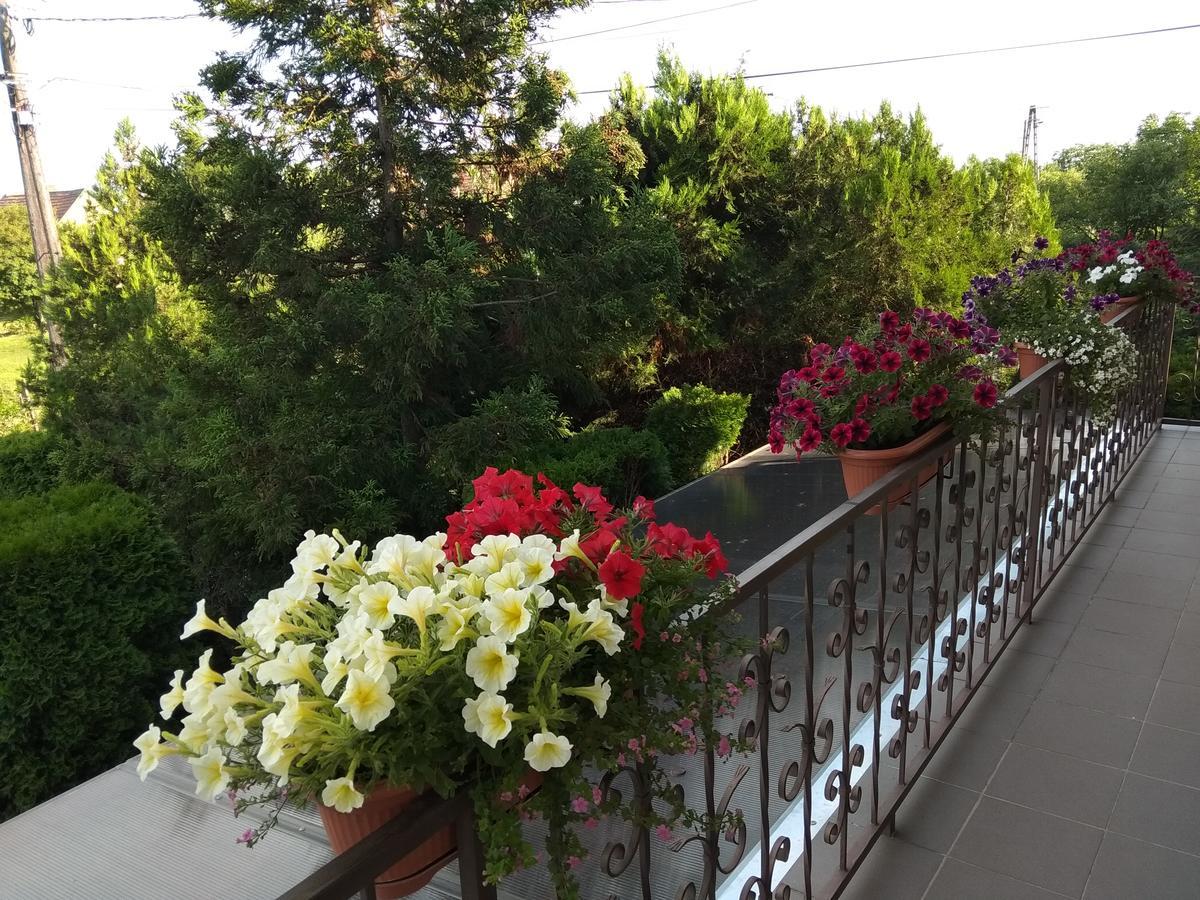 Anna Ilona Vendeghaz Hotel Badacsonytomaj Buitenkant foto