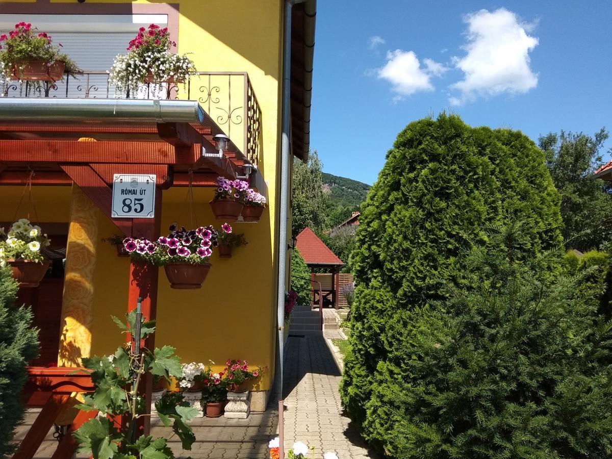 Anna Ilona Vendeghaz Hotel Badacsonytomaj Buitenkant foto
